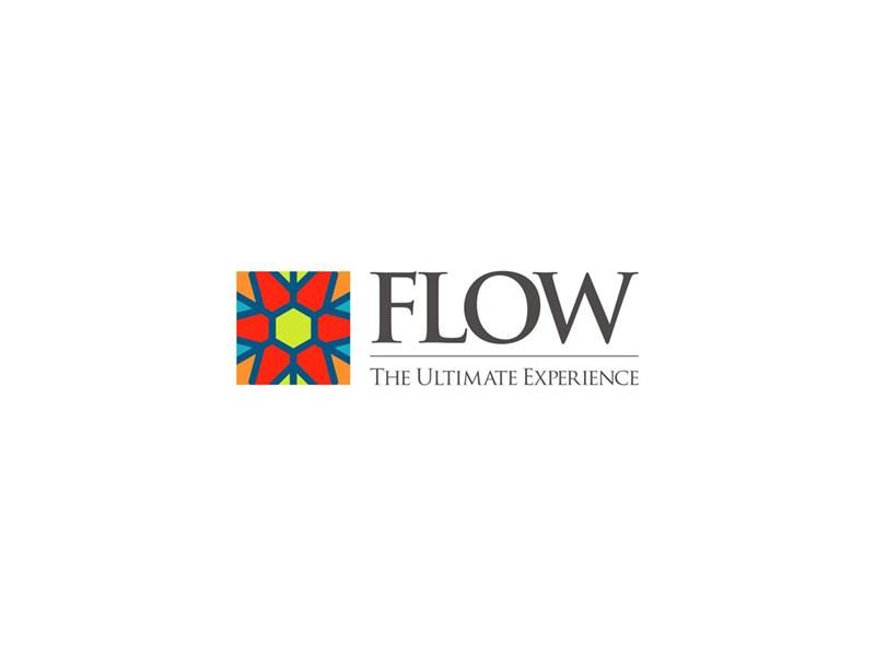 Flow Logo.jpg